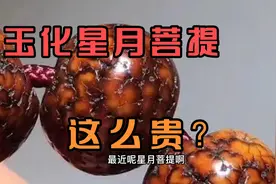 星月菩提玩的玉化了，能这么贵吗？我们来看看星月变化的4个阶段视频封面