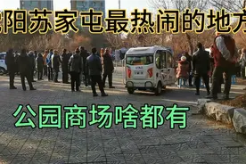 沈阳苏家屯最热闹的地方啥都有东西还便宜，有早晚市还有公园视频封面
