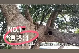 爬晋江灵源山找寻，“山外青山楼外楼，西湖歌舞几时休”的作者
