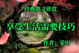 《享受生活需要技巧》，作者，蒙田视频封面