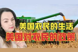 美国农村人口不及中国，农牧业却高产，为什么会这样？视频封面