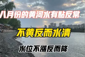 今年兰州段的黄河水有点反常，水位不升反而降，水不黄反而清……视频封面