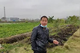 今天找了一份酒楼的工作，一个月才五千