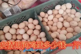 山东农村媳妇疫情期间储备物资，看看鸡蛋多少钱一斤了？视频封面