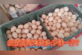 山东农村媳妇疫情期间储备物资，看看鸡蛋多少钱一斤了？视频封面
