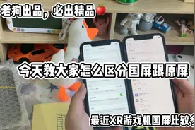 今天教大家怎么去区分国屏跟原屏🍎📱最近XR游戏机太多了视频封面