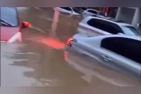 今年水灾普遍发生，说明生态环境出问题了，政府部门应重视起来！视频封面