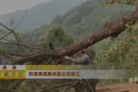 高州高速公路开工了视频封面