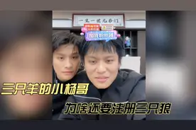 三只羊的小杨哥为啥还要注册三只狼