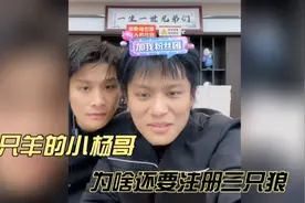 三只羊的小杨哥为啥还要注册三只狼
