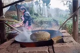 下午挖菜园地，山里冬天冷饿的快，蒸晚饭再做一钵青菜猪肉丸子。视频封面