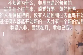 森林里有两条岔路，我选择人迹罕至的一条，这本身就关系重大。视频封面