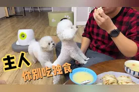 只吃猫粮的小猫咪，原来喜欢油炸食品，蒸了一锅肉龙狗狗们抢着吃