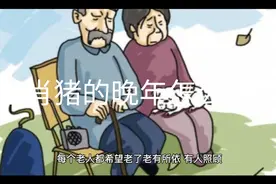 生肖猪的晚年怎么样？视频封面