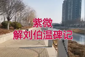 紫微：刘伯温碑记，醒世预言；末日灾难，神佛菩萨不行正也难过关视频封面