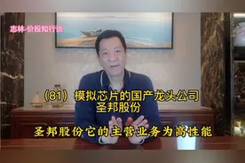（81）模拟芯片的国产龙头公司——圣邦股份(一)视频封面