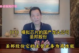 （81）模拟芯片的国产龙头公司——圣邦股份(一)视频封面