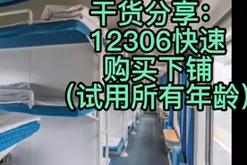 干货分享：网上12306买火车票准确购买下铺，旅游上学太省心了。视频封面