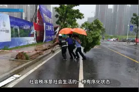 社会生活有秩序视频封面