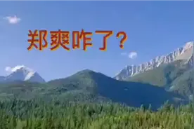 郑爽富贵而骄，落得自遗其咎视频封面