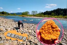 福建男子深山寻宝石，50斤的巨石下取出块石头，洗干净后，乐坏了视频封面