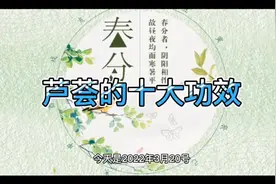 芦荟的十大功效视频封面