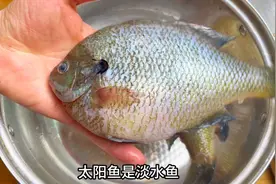 28买2条太阳鱼，分享一道蒜头烧太阳鱼，鱼肉鲜嫩入味又不腥视频封面