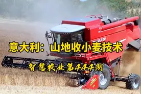智慧农业444期：意大利山地收小麦技术！谁说山区农业不能机械化视频封面
