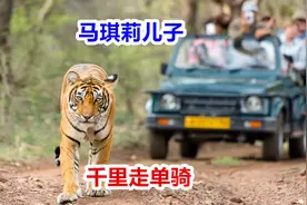 真事儿，印度人遇老虎一口气逃10公里！通过老虎看清印度野心…视频封面