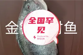 金钩招财鱼，门上挂半月