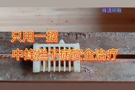 简单一招，中蜂烂子病安全治疗视频封面