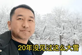 北大荒原始森林20年来最大的一场雪，从县城到山里，雪景真漂亮视频封面