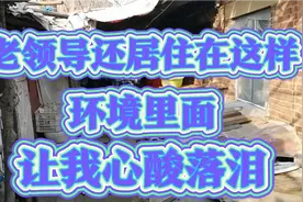 今天来给领导拜年！没想到看了后让我看了心酸落泪视频封面