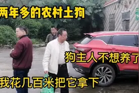 两年多的农村满山跑的土狗，冬天吃有健脾暖胃等功效！视频封面