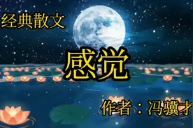 冯骥才《感觉》生活处处蕴藏着美好和欢喜，关键在于善于发现视频封面
