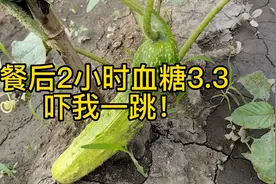 餐后2小时血糖3.3，吓我一跳，事情竟然是这样的！视频封面