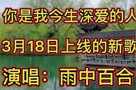 好听至极！《你是我今生深爱的人》旋律伤感，美妙的歌声太好听了视频封面