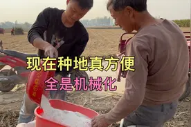 一年一次种小麦的季节开始了，现在种地是真方便，全是机械化视频封面