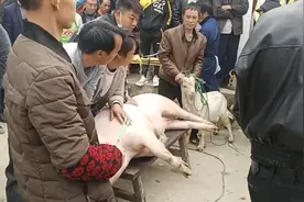 各民族有各民族的习惯了视频封面