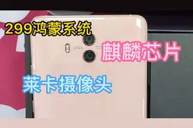 299华为Mate10，商务气息十足！2K的屏幕显示效果清晰。视频封面