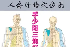 手少阳三焦经的循行和功能视频封面