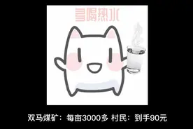灵武市马家滩村征地补偿款，双马煤矿：每亩3000多，村民：到手90视频封面