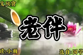 散文朗读《老伴》，选自：国学369视频封面