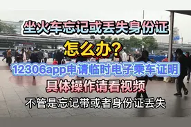 乘车前身份证丢失或忘记带？1月15日12306app申请电子身份证开通