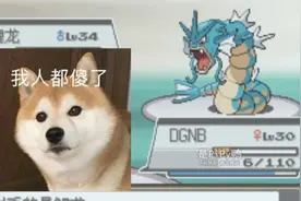 【pipy】完美存档就这么没了…宝可梦Nuzlocke——心金（4）视频封面