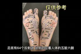 足底有多少个反射区 足底有什么好处今天带你们了解一下视频封面