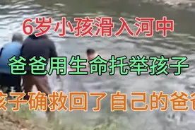 6岁小孩意外落水，父亲用生命托举着孩子，孩子也紧拽父亲不放手视频封面