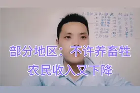 部分地方：不许农民养鸡、鸭、猪、牛，如果一刀切农民收入又下降视频封面