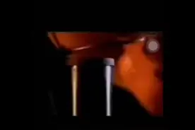 纳豆激酶功效视频封面