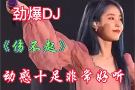 经典歌曲《伤不起》DJ版，节奏动感超级好听，欢迎大家欣赏聆听！视频封面